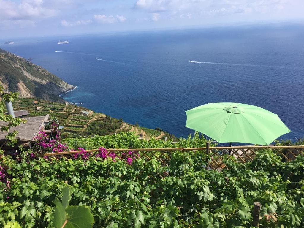 Вілла Refuge Uwabio Organic Vineyard Cinqueterre Ріомаджоре Екстер'єр фото