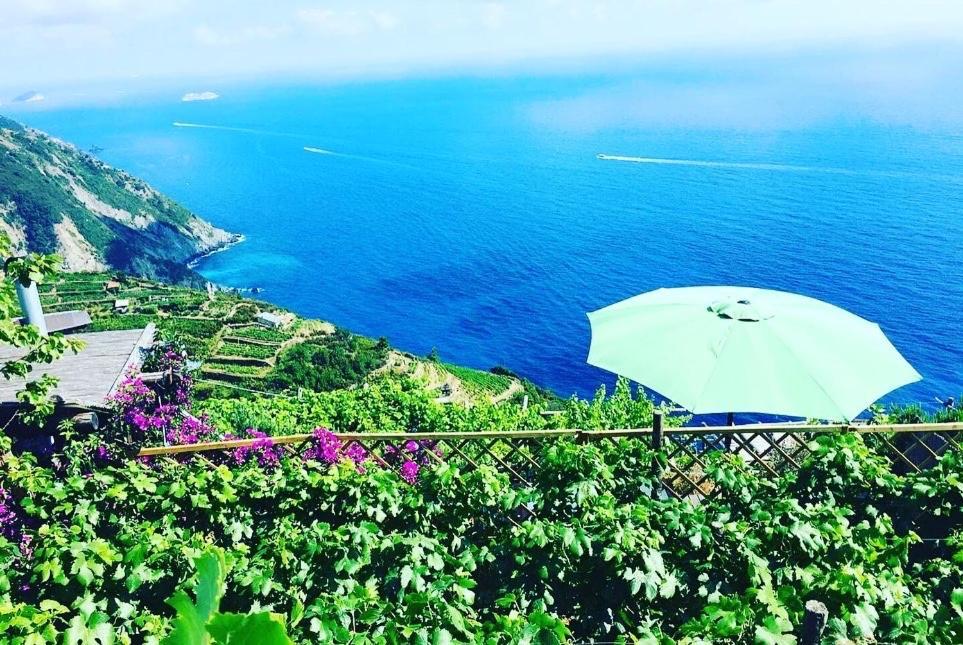Вілла Refuge Uwabio Organic Vineyard Cinqueterre Ріомаджоре Екстер'єр фото