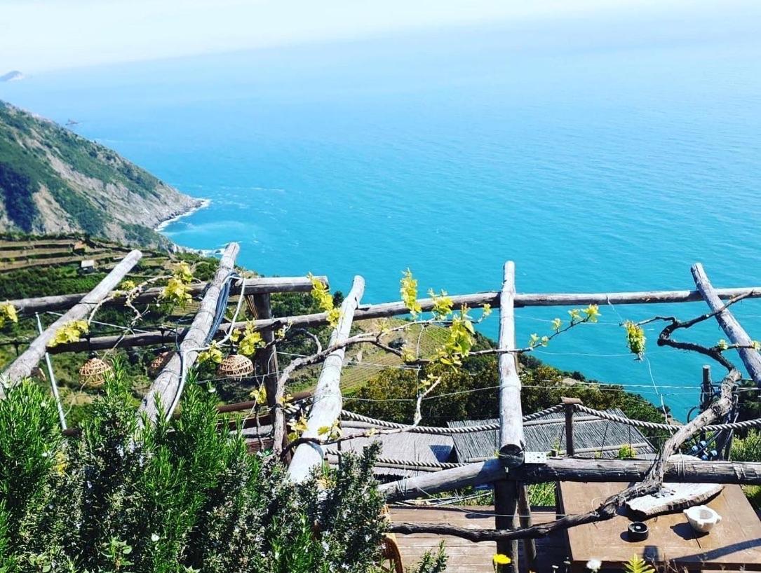 Вілла Refuge Uwabio Organic Vineyard Cinqueterre Ріомаджоре Екстер'єр фото
